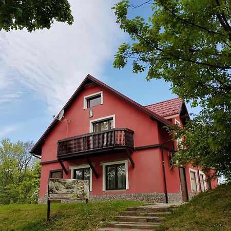 Apartamenty U Bodzia Stronie Śląskie エクステリア 写真