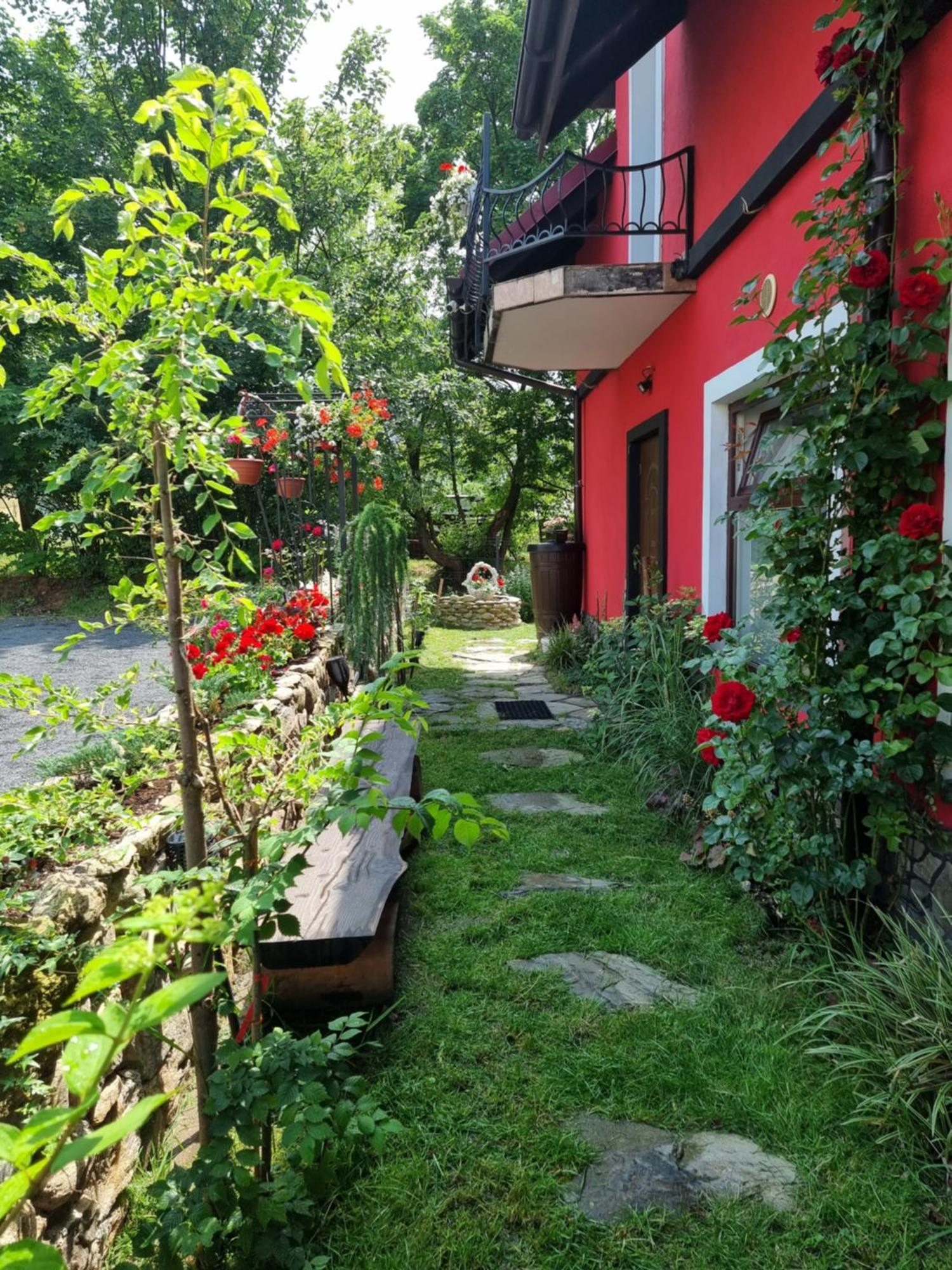 Apartamenty U Bodzia Stronie Śląskie エクステリア 写真