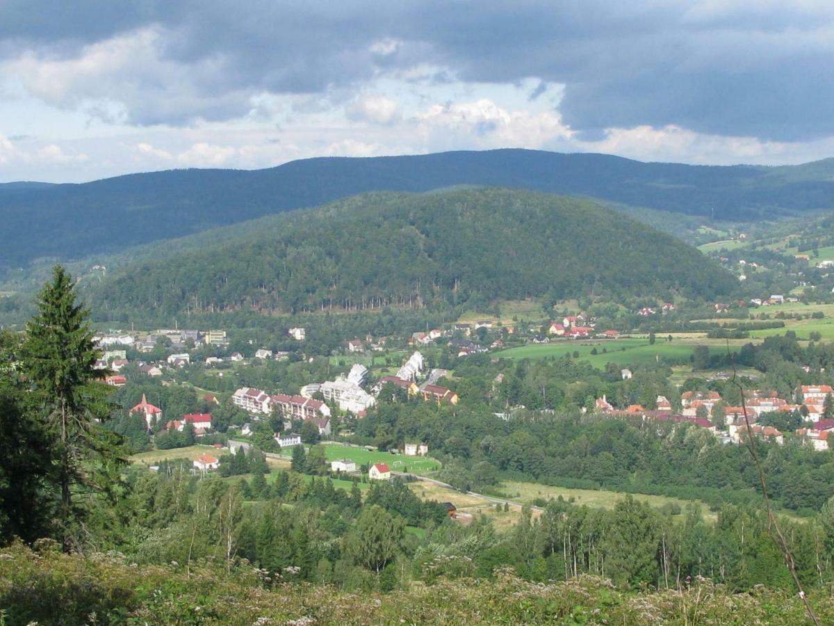 Apartamenty U Bodzia Stronie Śląskie エクステリア 写真