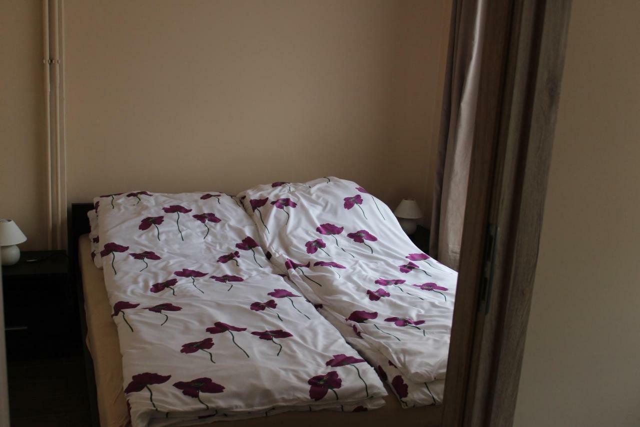 Apartamenty U Bodzia Stronie Śląskie エクステリア 写真