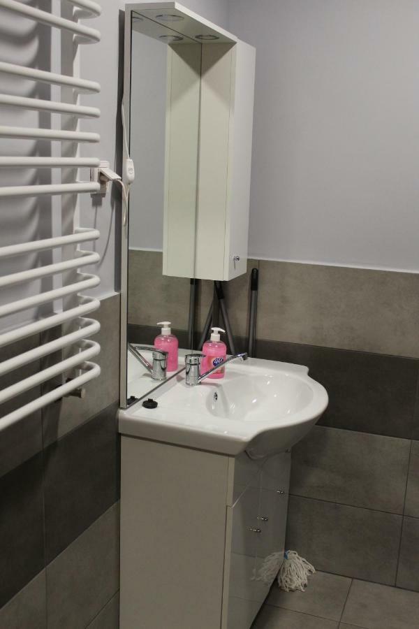 Apartamenty U Bodzia Stronie Śląskie エクステリア 写真