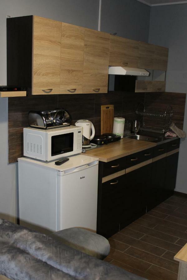 Apartamenty U Bodzia Stronie Śląskie エクステリア 写真