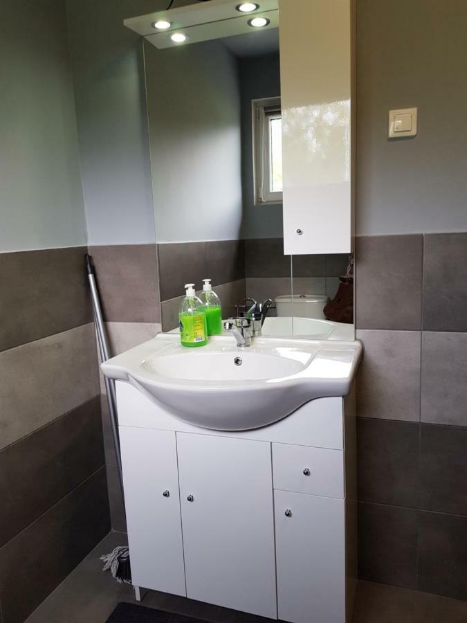 Apartamenty U Bodzia Stronie Śląskie エクステリア 写真