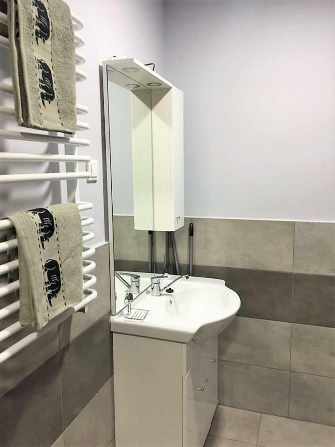 Apartamenty U Bodzia Stronie Śląskie エクステリア 写真